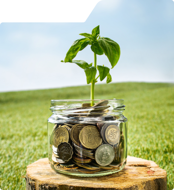 About Nexvora Capital